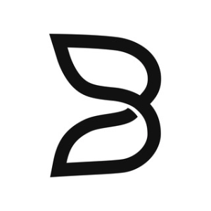B.AI logo