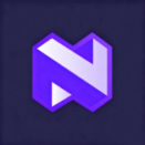Neural4D